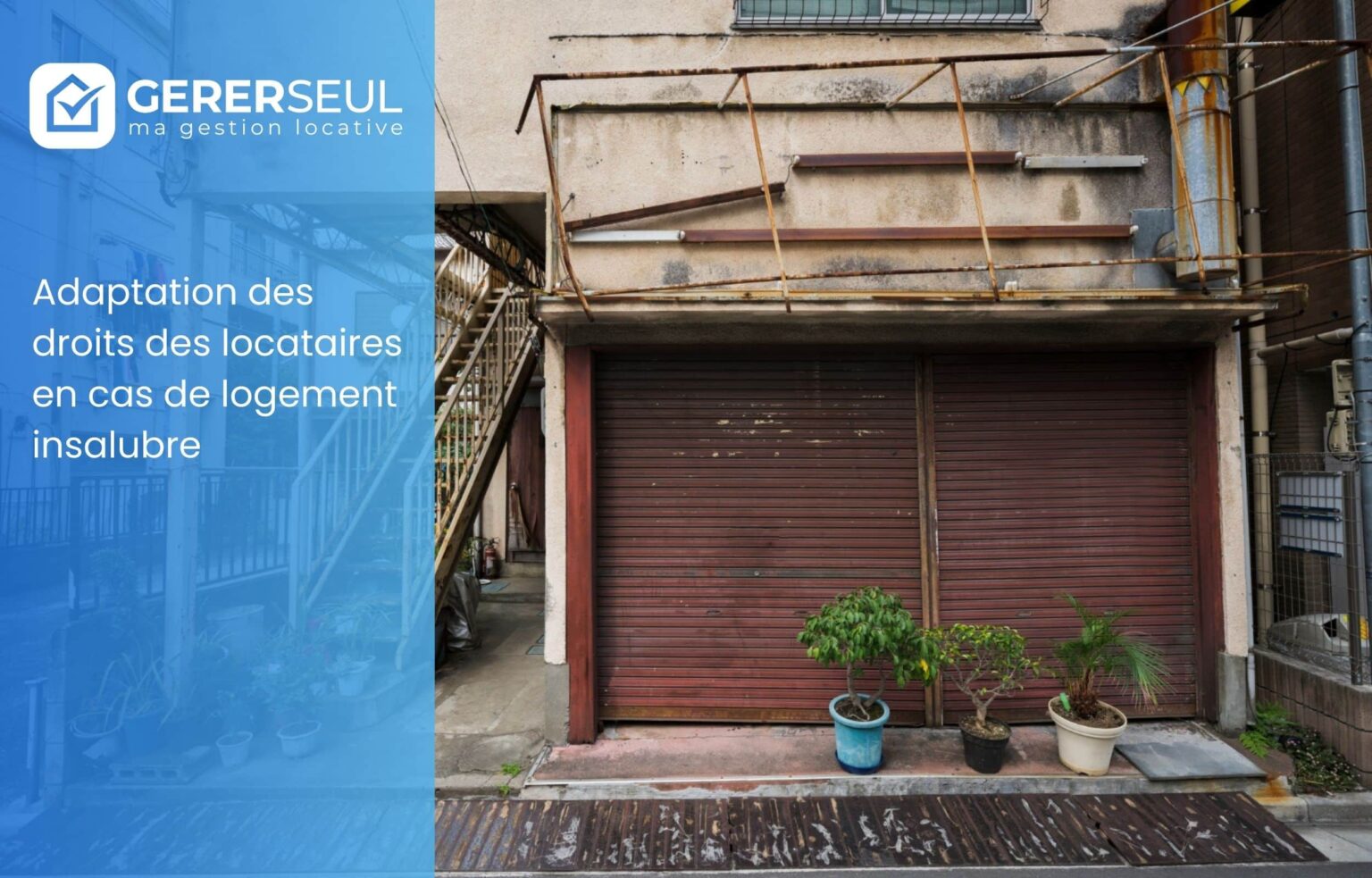 Adaptation des droits des locataires en cas de logement insalubre