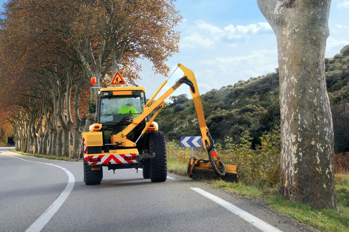 L’entretien des chemins ruraux : quelles sont les responsabilités ?