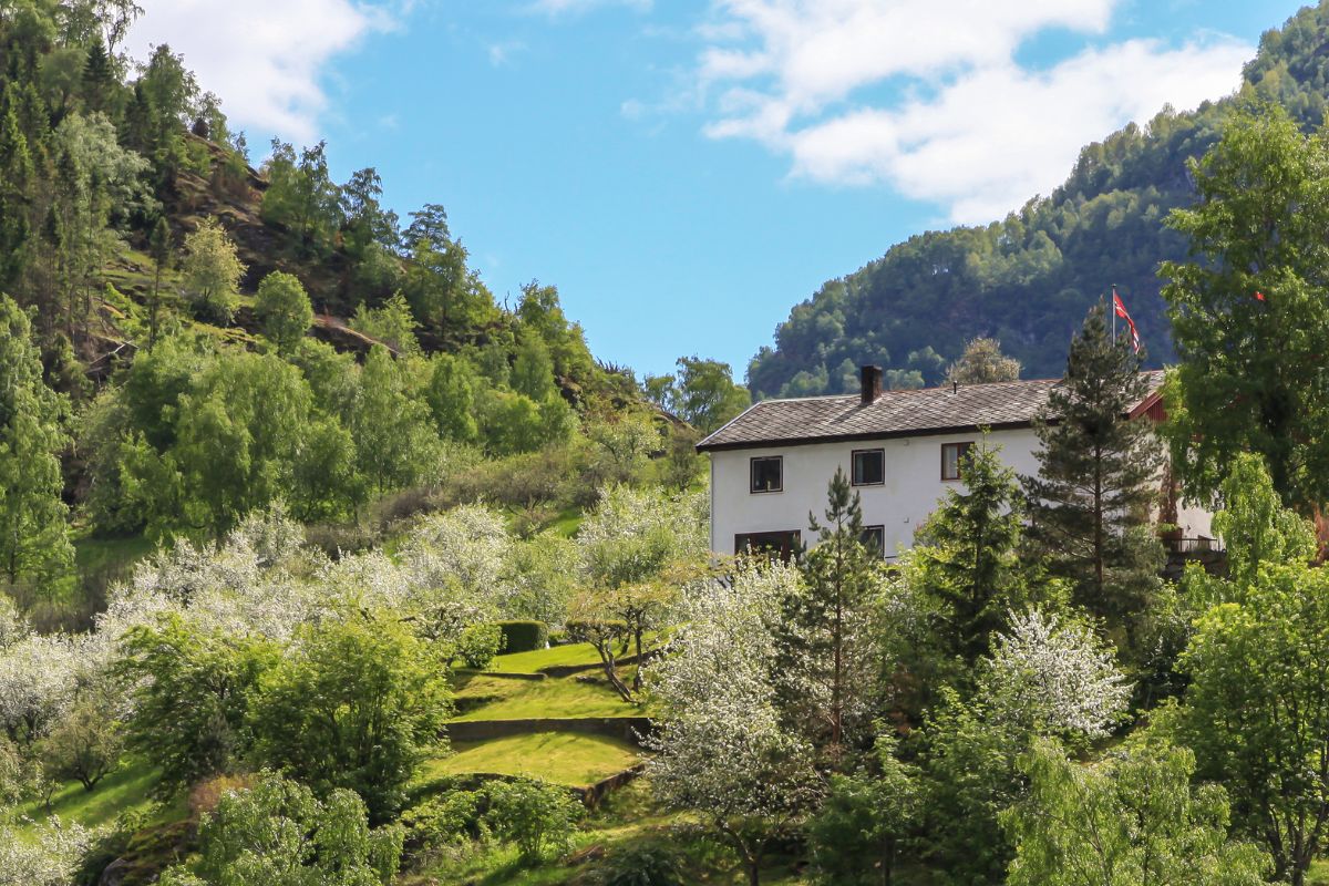 Les dangers cachés de l&rsquo;investissement immobilier en milieu montagnard