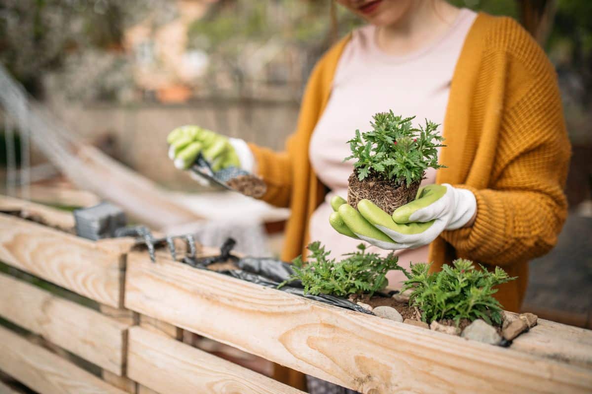 Jardinage locatif : les responsabilités du locataire et du propriétaire décryptées