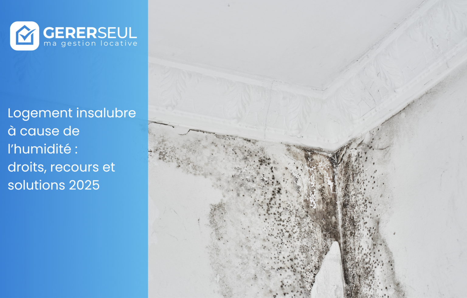 Logement insalubre à cause de l’humidité : droits, recours et solutions 2025