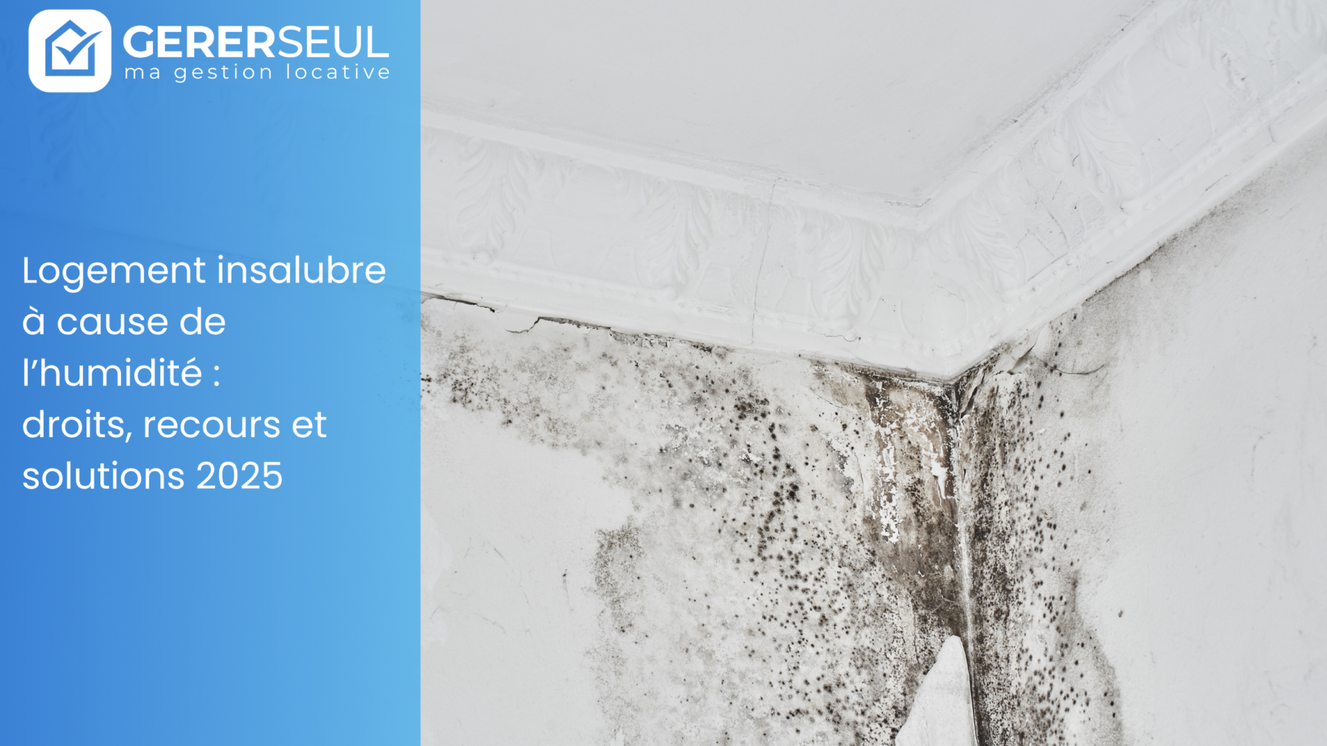 Logement insalubre à cause de l’humidité : droits, recours et solutions 2025