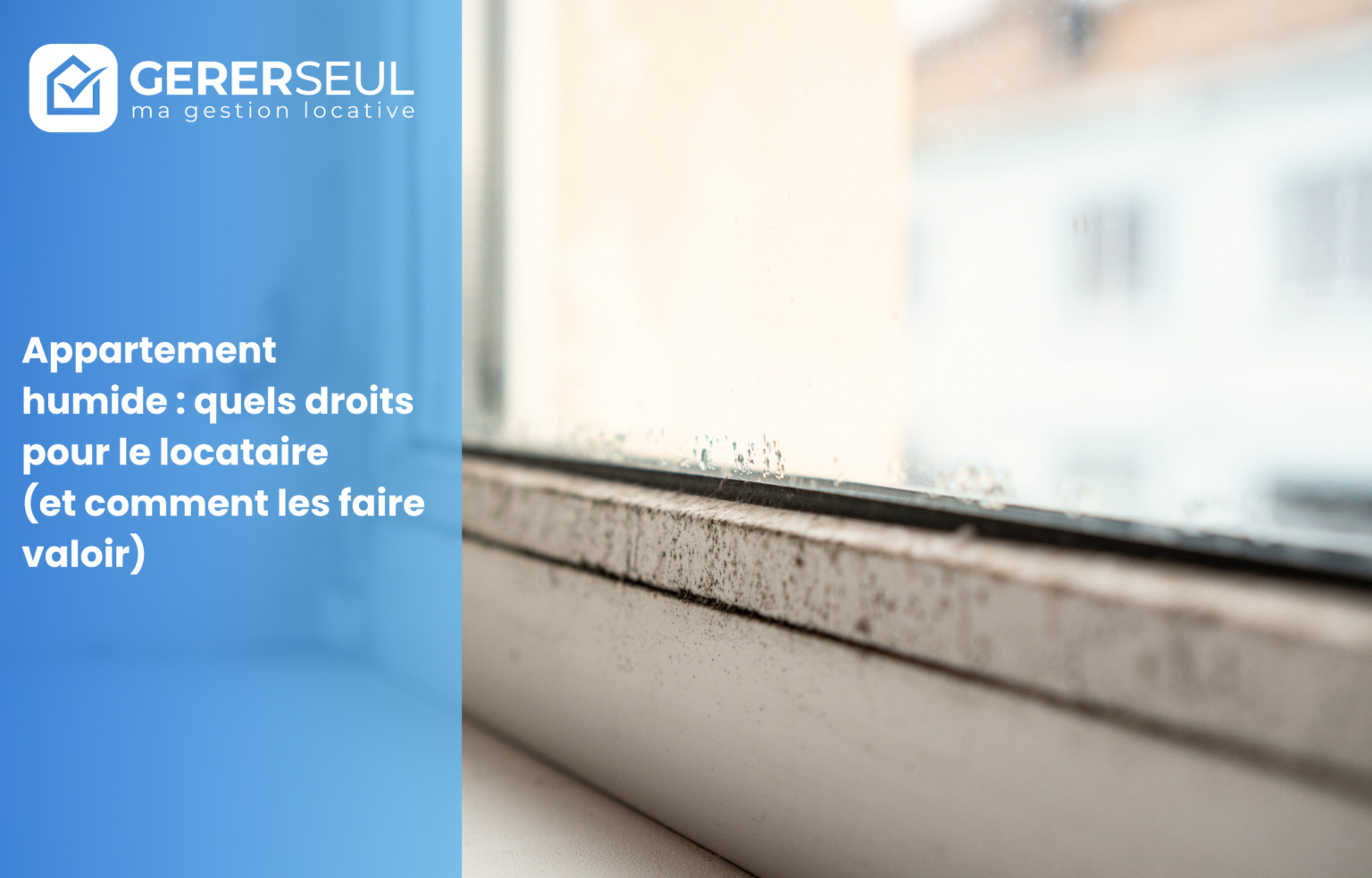 Appartement humide : quels droits pour le locataire (et comment les faire valoir)