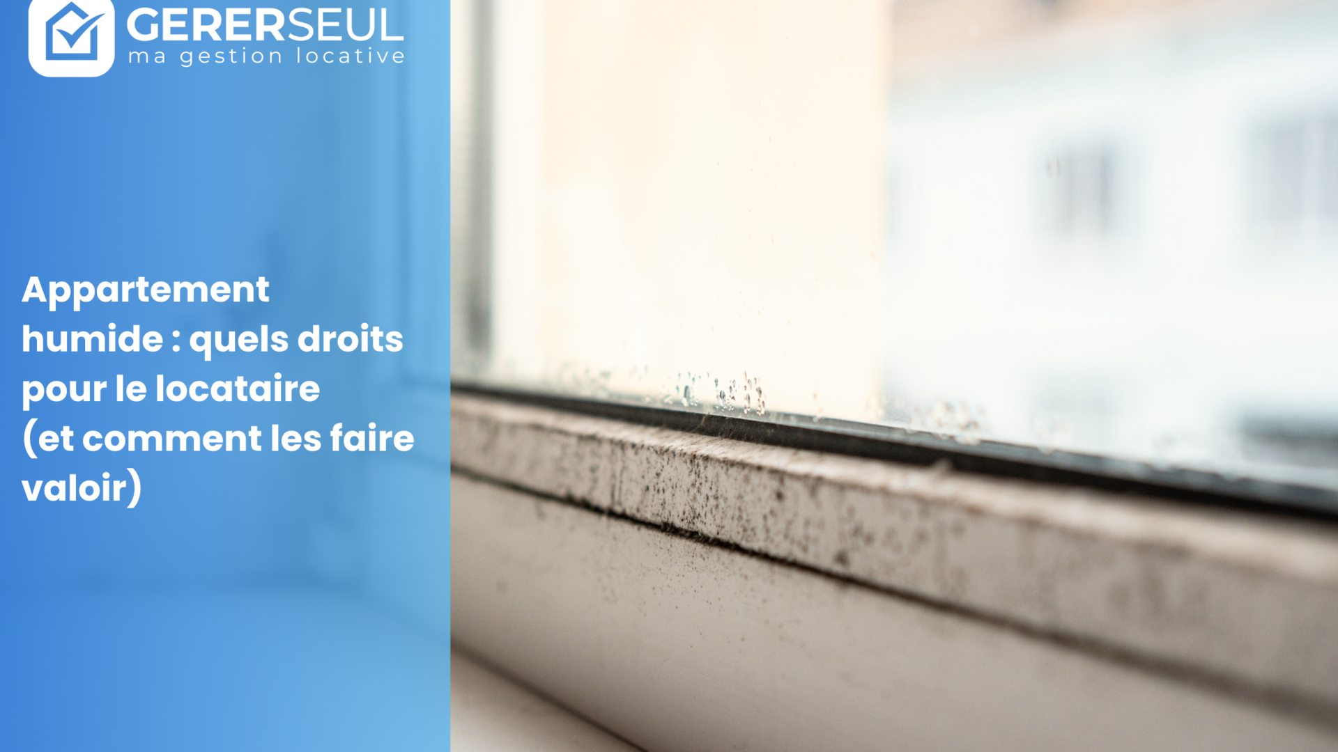 Appartement humide : quels droits pour le locataire (et comment les faire valoir)