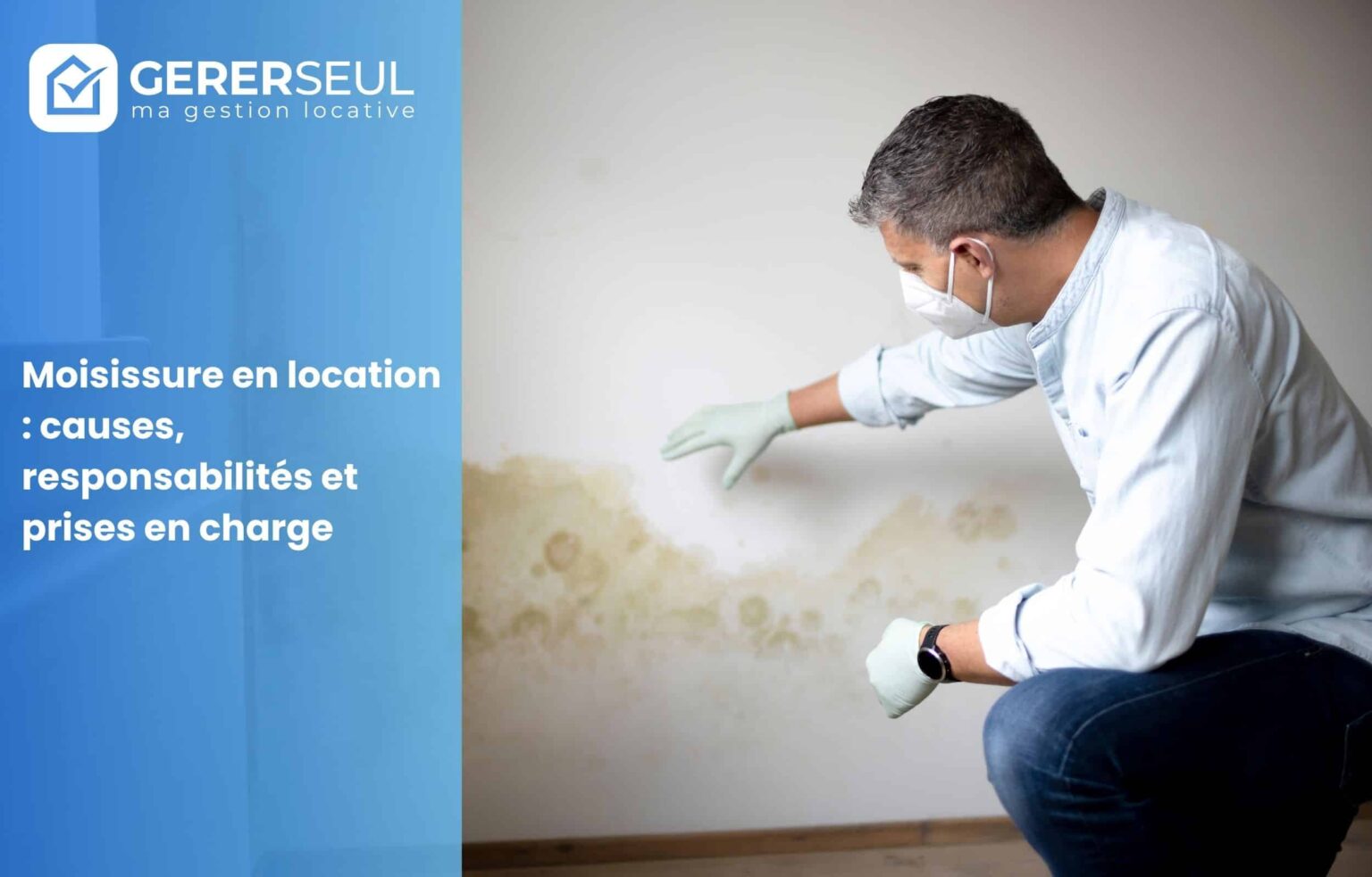 Moisissure en location : causes, responsabilités et prises en charge