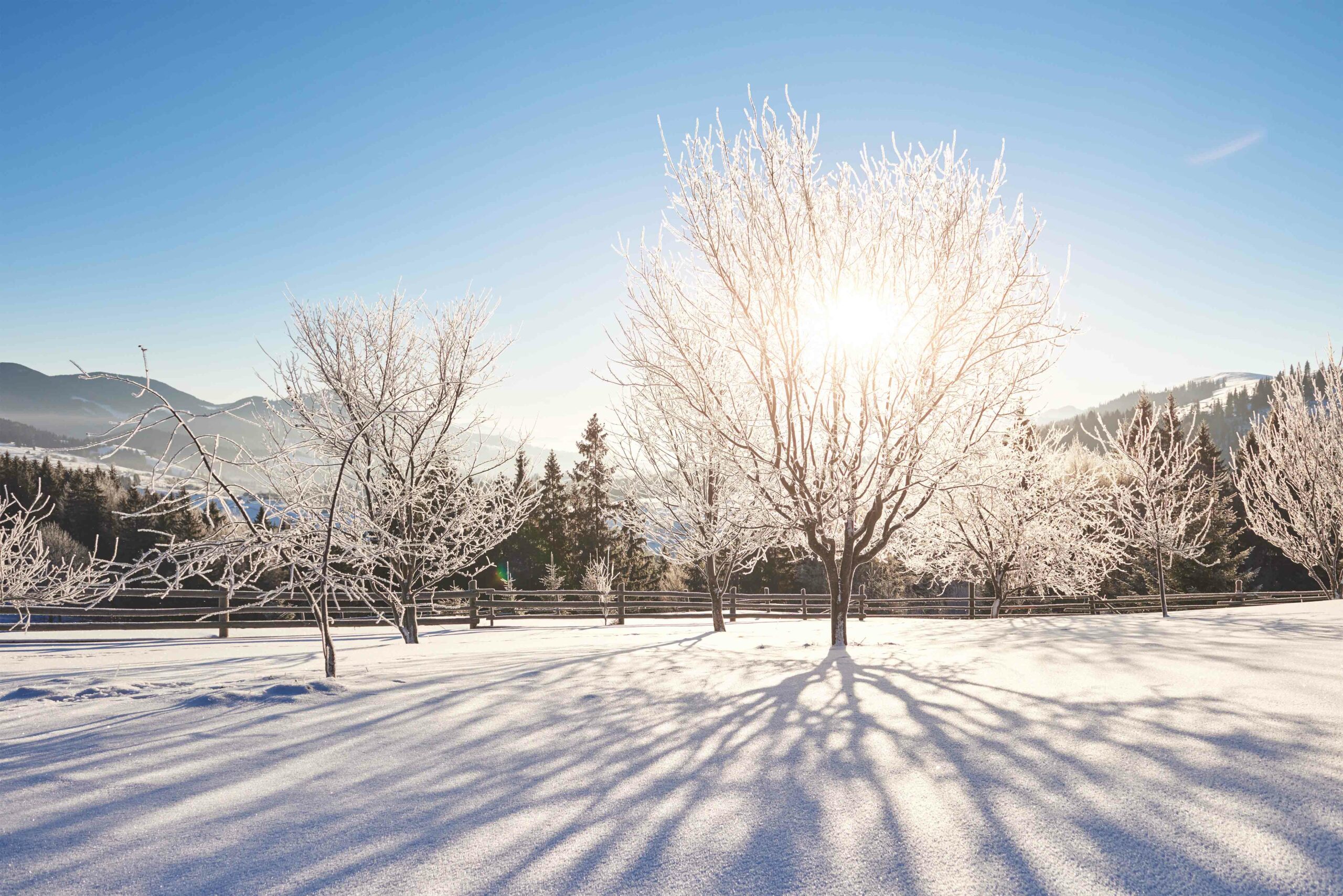 trêve hivernale